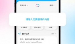 泰国翻译爆料视频下载软件,泰国热门爆料视频下载神器揭秘